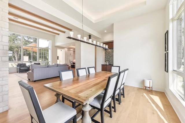501 Delayne Dr, Austin, TX 78737 - dining room featuring light wood-style flooring and a towering ceiling
