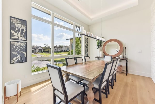 501 Delayne Dr, Austin, TX 78737 - dining space featuring plenty of natural light and light wood-style floors