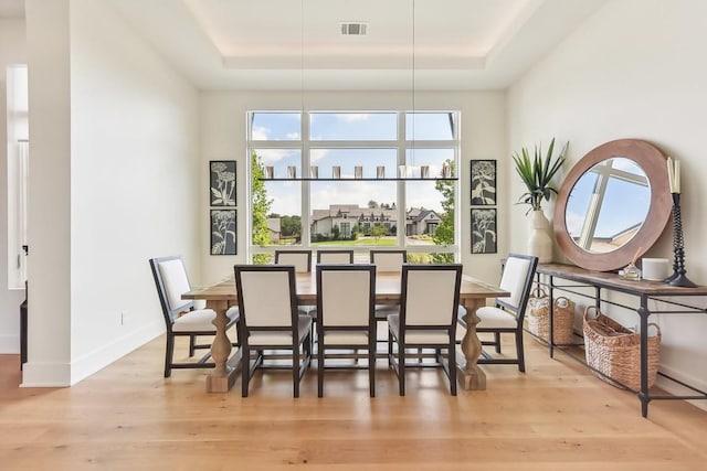 501 Delayne Dr, Austin, TX 78737 - dining area featuring a tray ceiling and light wood-style flooring