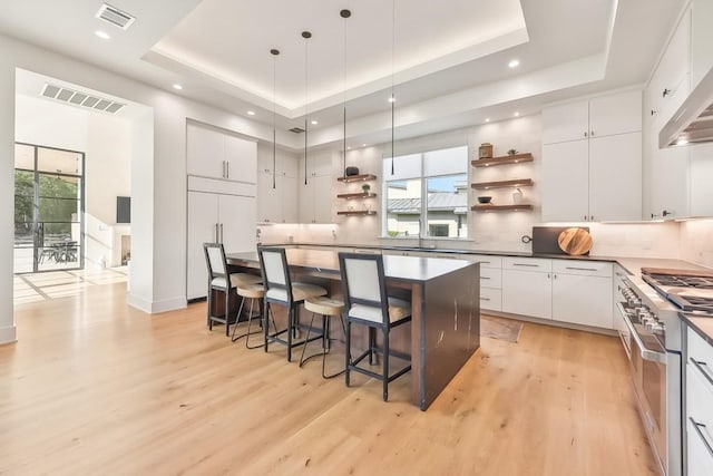 501 Delayne Dr, Austin, TX 78737 - kitchen featuring open shelves, premium appliances, a tray ceiling, a kitchen breakfast bar, and recessed lighting