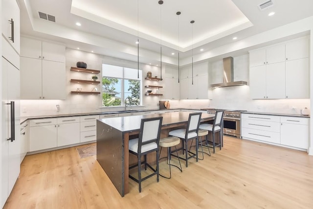 501 Delayne Dr, Austin, TX 78737 - kitchen featuring wall chimney exhaust hood, open shelves, a raised ceiling, stainless steel range, and a kitchen bar