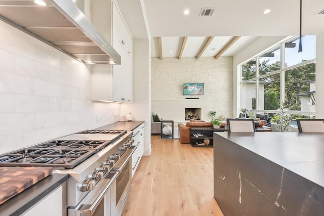 501 Delayne Dr, Austin, TX 78737 - kitchen with under cabinet range hood, double oven range, white cabinetry, light wood finished floors, and tasteful backsplash
