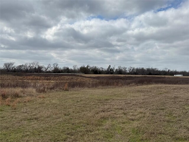 1500 County Road 481, Thrall, TX 76578 - photo 14