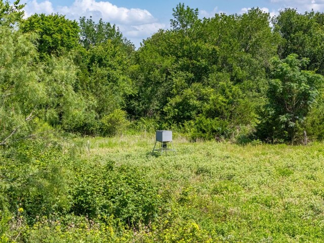 1500 County Road 481, Thrall, TX 76578 - photo 3