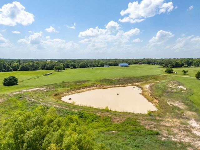 1500 County Road 481, Thrall, TX 76578 - photo 32