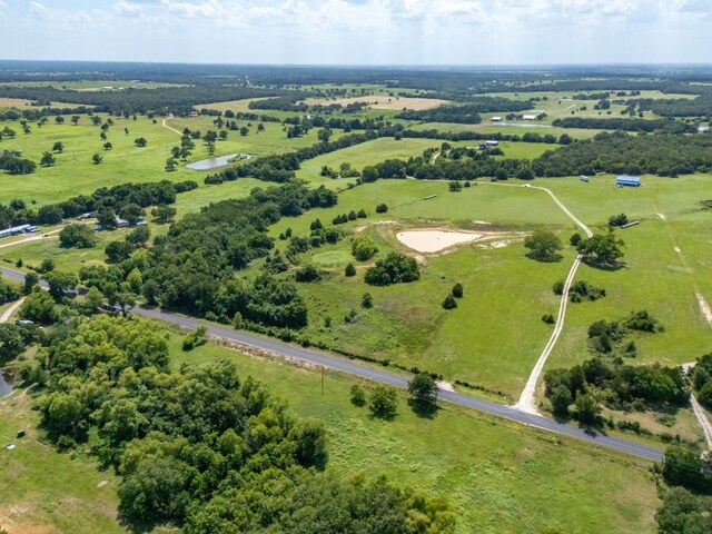 1500 County Road 481, Thrall, TX 76578 - photo 34