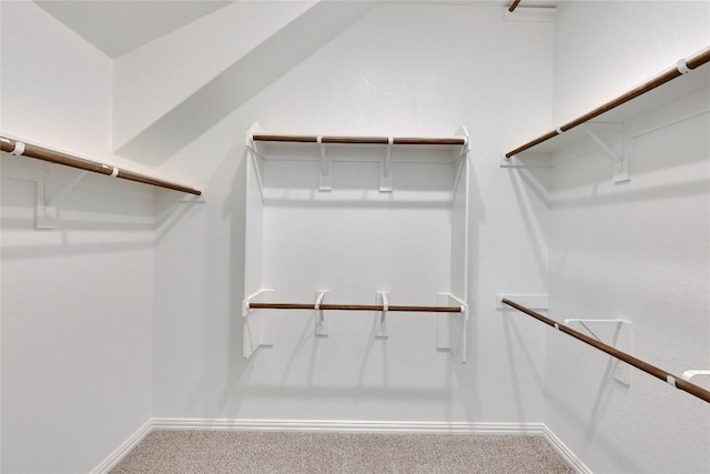 walk in closet with carpet floors