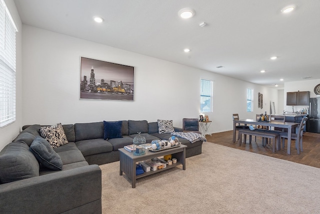 living room featuring wood-type flooring