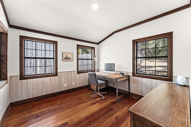 home office with lofted ceiling, plenty of natural light, wood walls, and dark hardwood / wood-style floors