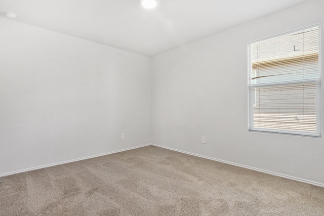 unfurnished room with carpet floors and a wealth of natural light