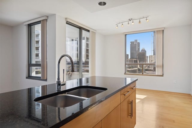 kitchen featuring a sink, dark stone counters, a city view, and light wood-type flooring