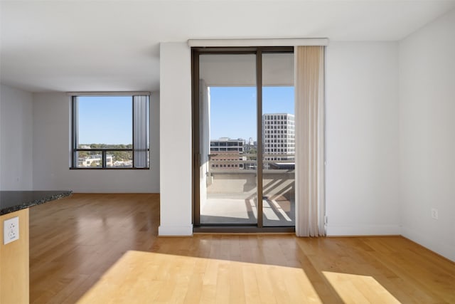 empty room with hardwood / wood-style flooring