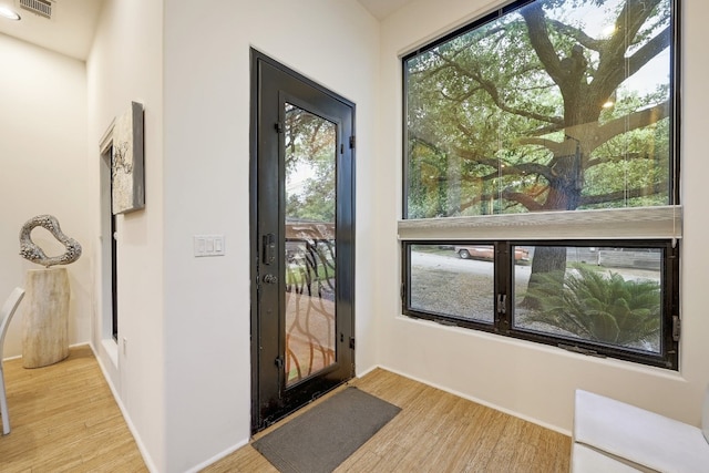 doorway to outside featuring light hardwood / wood-style flooring and a healthy amount of sunlight