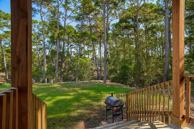 view of yard featuring a deck