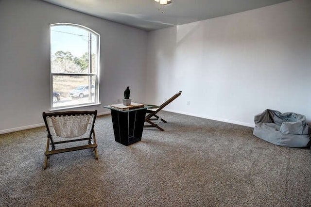 home office with ceiling fan and carpet flooring