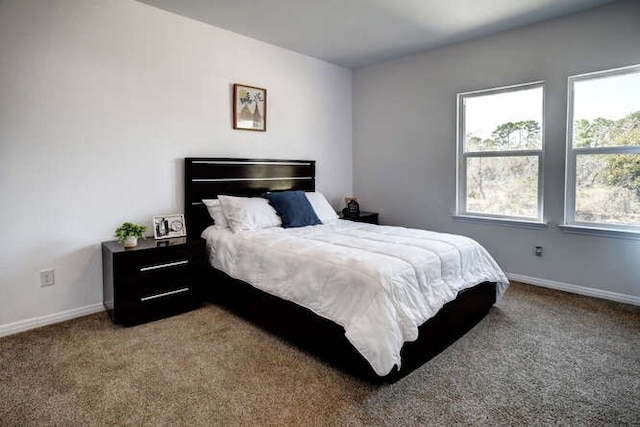 bedroom with carpet and multiple windows