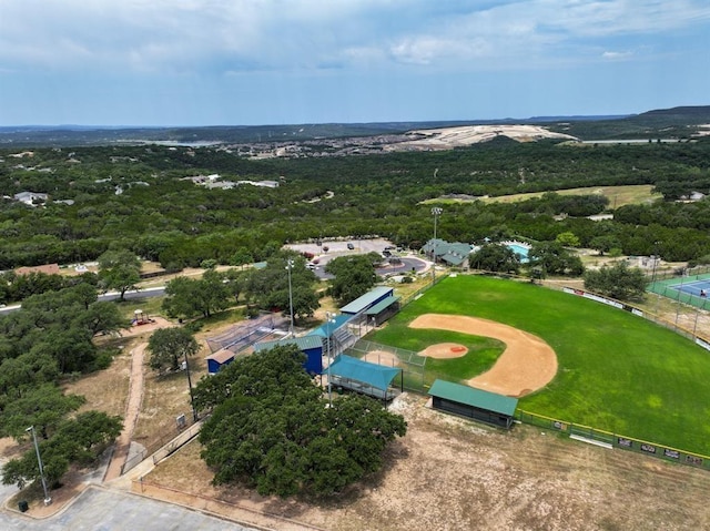 8307 Chestnut Cv, Lago Vista, TX 78645