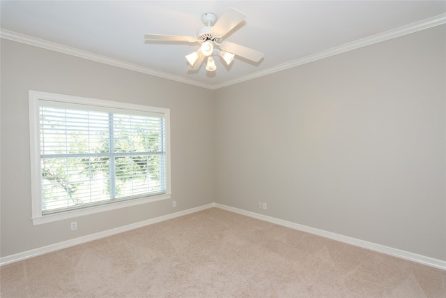 carpeted empty room featuring ornamental molding and ceiling fan