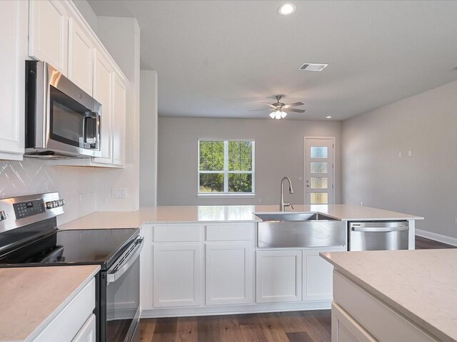 kitchen with a ceiling fan, appliances with stainless steel finishes, a sink, dark wood-style floors, and white cabinetry