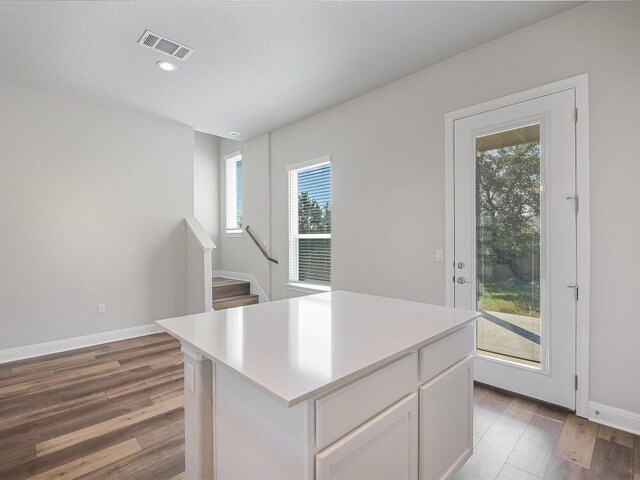 kitchen featuring light countertops, plenty of natural light, light wood-type flooring, and visible vents