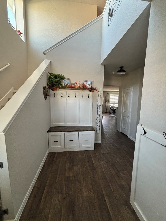 mudroom featuring dark hardwood / wood-style flooring and a wealth of natural light