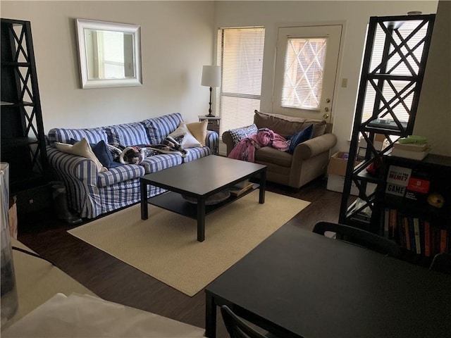 living room featuring hardwood / wood-style floors