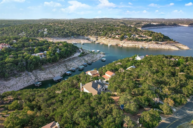 drone / aerial view with a water view