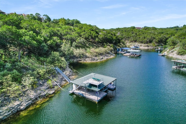 4000 Red Bird Trl, Lago Vista, TX 78645 - photo 3