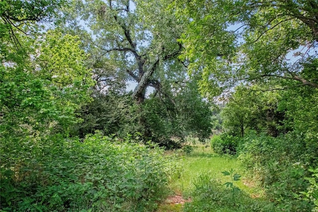 1152 E 67th Hwy 5266 Unit A, Glen Rose, TX 76077