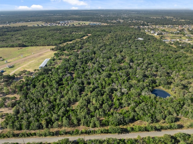 R32881 Mcdonald Ln W, Cedar Creek TX, 78602 land for sale