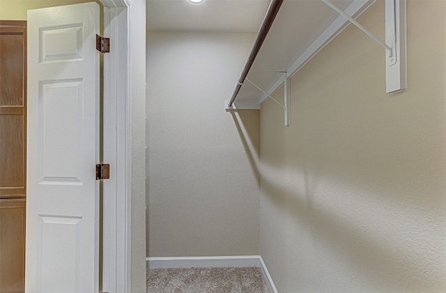 spacious closet with carpet flooring