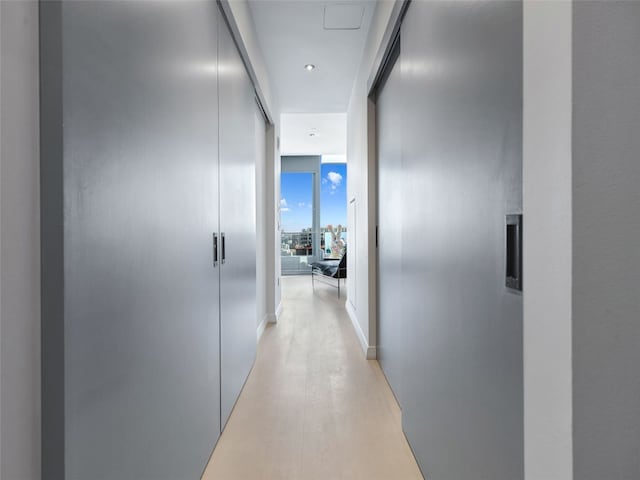 hallway with expansive windows and light hardwood / wood-style flooring