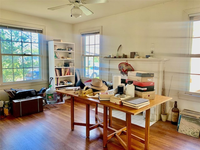 office area with ceiling fan and hardwood / wood-style floors