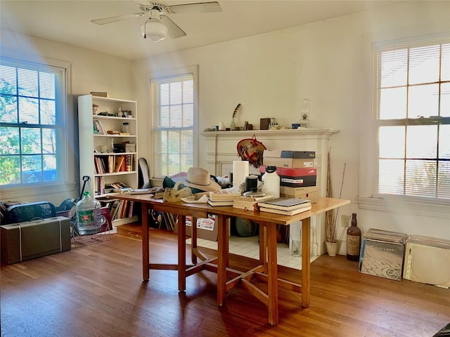 dining room featuring ceiling fan, hardwood / wood-style flooring, and a healthy amount of sunlight