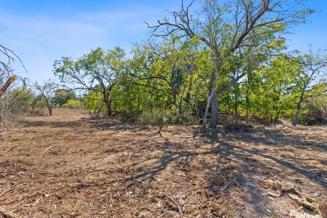 LOT10 Witter Rd, Dale, TX 78616