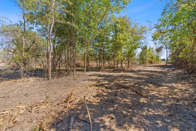 LOT10 Witter Rd, Dale, TX 78616