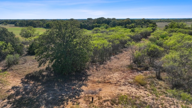 LOT10 Witter Rd, Dale, TX 78616
