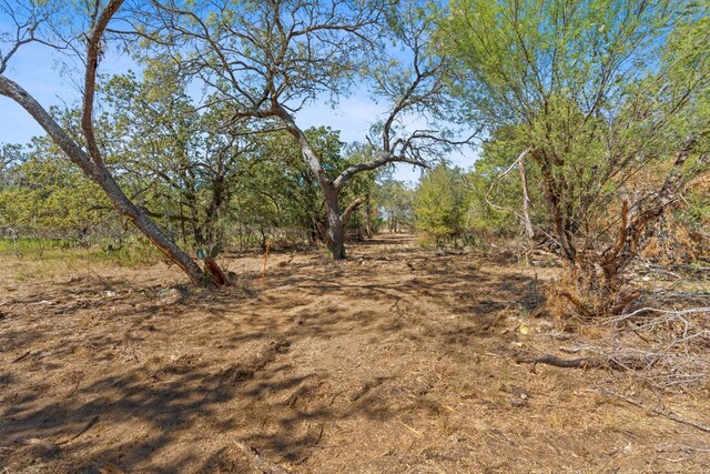 LOT10 Witter Rd, Dale, TX 78616