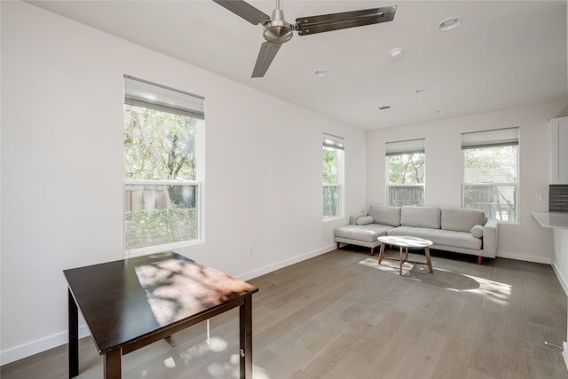 living room with ceiling fan and hardwood / wood-style flooring