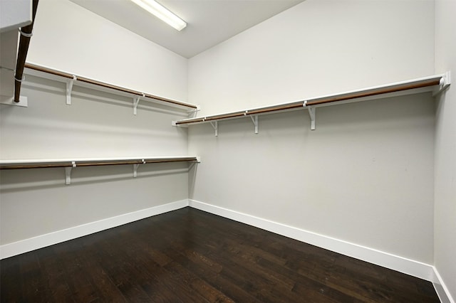 spacious closet featuring hardwood / wood-style flooring