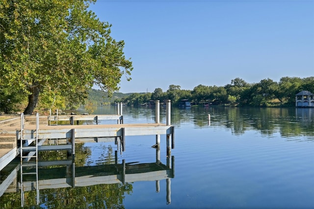 dock area with a water view