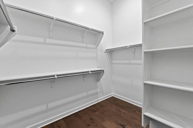 walk in closet featuring dark hardwood / wood-style floors