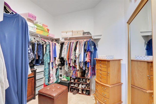 spacious closet featuring carpet