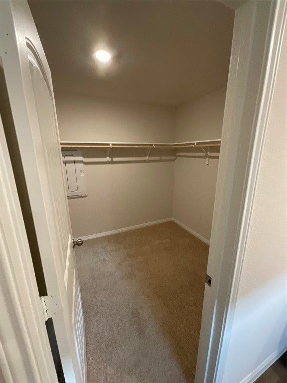 walk in closet with carpet