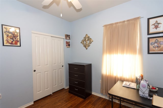 office space featuring dark hardwood / wood-style flooring and ceiling fan