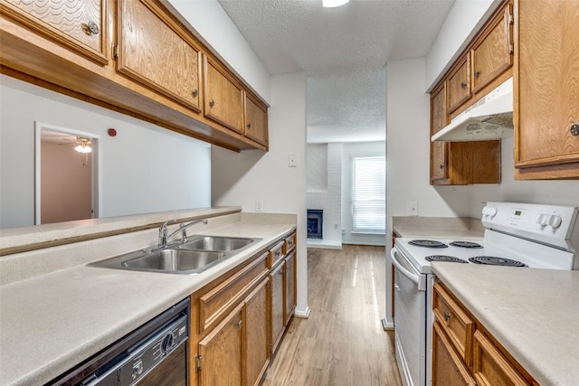 kitchen with light wood-type flooring, ceiling fan, white electric stove, sink, and black dishwasher