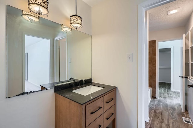 109 W Mockingbird Ln Unit A2, Austin, TX 78745 - bathroom featuring vanity, a textured ceiling, and wood finished floors
