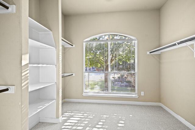 spacious closet with light carpet