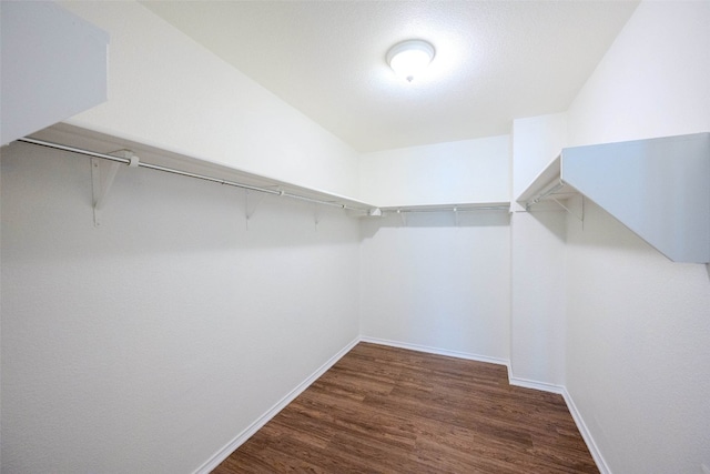 walk in closet featuring dark hardwood / wood-style flooring