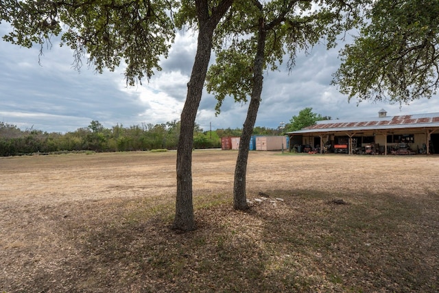 view of yard with a storage unit